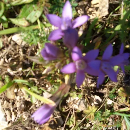 Lang Apartment Lechbruck